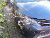 Auto 140257-12.jpg